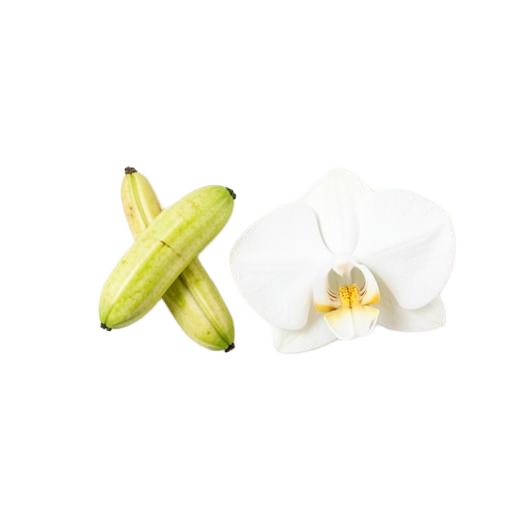 Vanillestokjes met orchidee